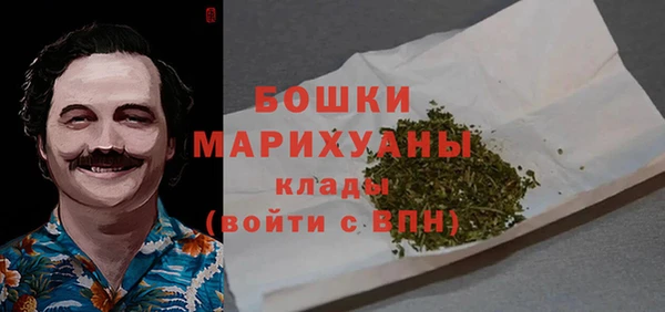 шишки Богородицк