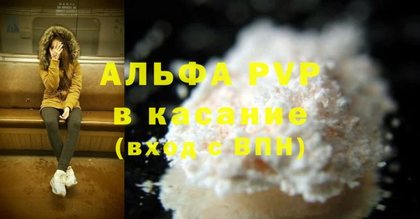 шишки Богородицк