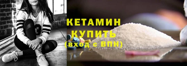 шишки Богородицк