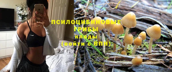 шишки Богородицк