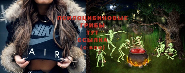 MDMA Бородино