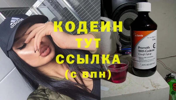 шишки Богородицк